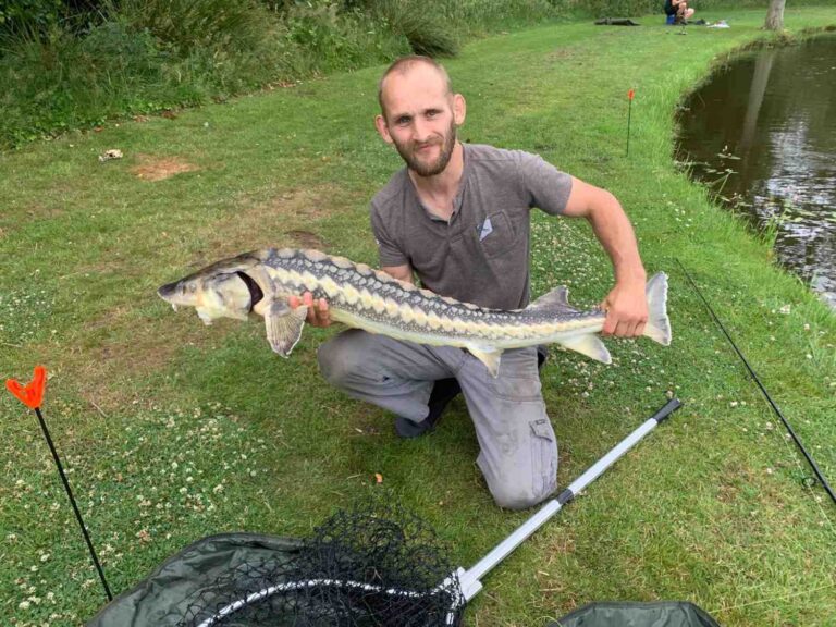 Hengelsport Friesland diamantsteur gevangen aan vijver