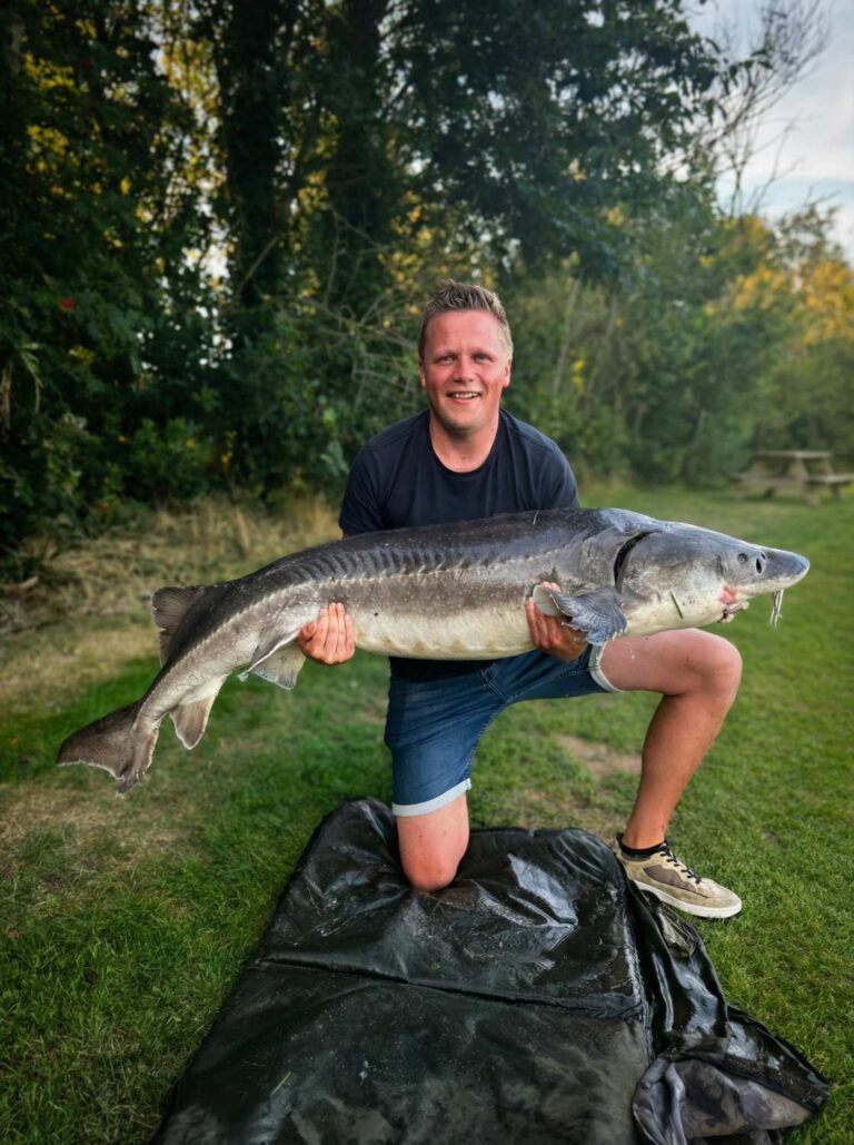 Indrukwekkende steur vangst bij visvijver Friesland